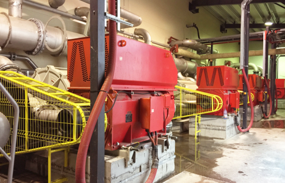 出口罗马尼亚 ECO PAPER 40台高压电机